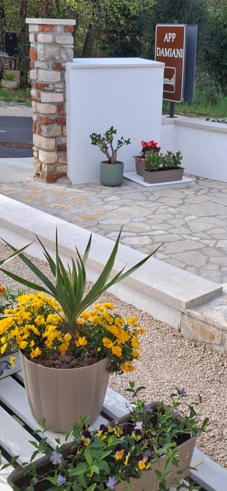 Apartment Damiani Umag Exterior foto